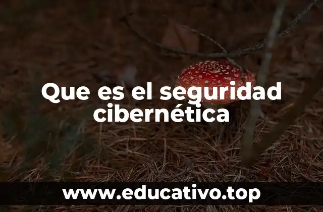 Que es el seguridad cibernética