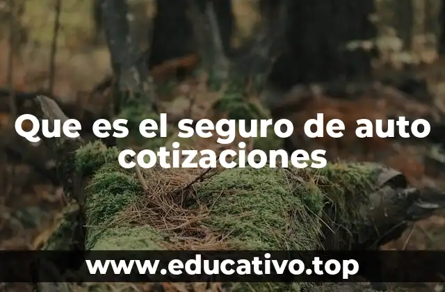 Cómo las cotizaciones permiten elegir el mejor seguro de auto