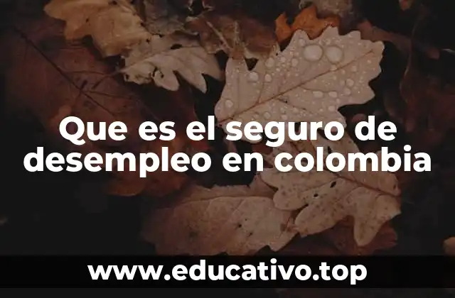 Que es el seguro de desempleo en colombia