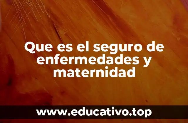 Que es el seguro de enfermedades y maternidad