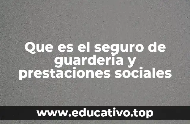 Que es el seguro de guarderia y prestaciones sociales