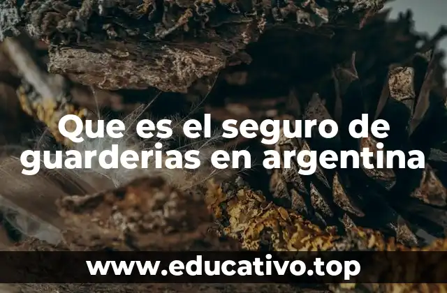 Que es el seguro de guarderias en argentina