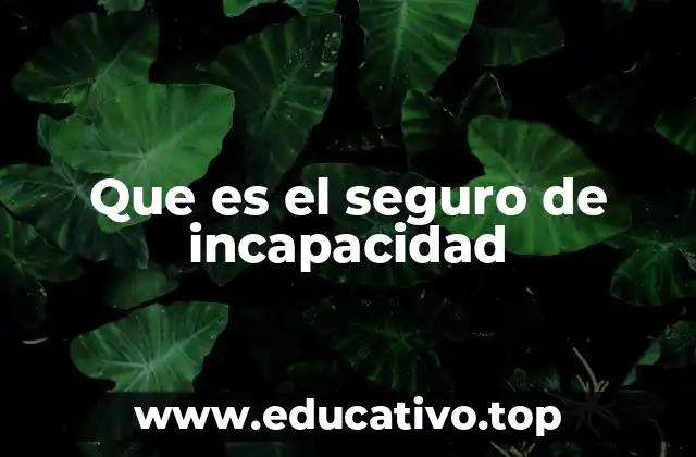 Que es el seguro de incapacidad