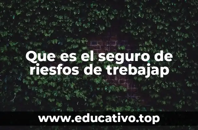 Que es el seguro de riesfos de trebajap
