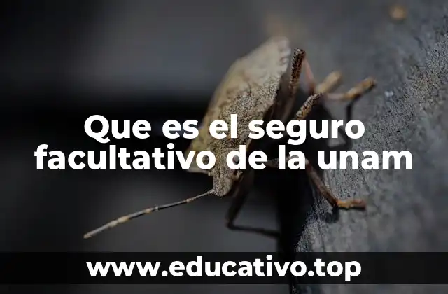 Que es el seguro facultativo de la unam