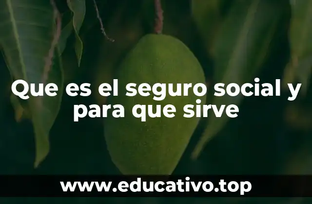Que es el seguro social y para que sirve