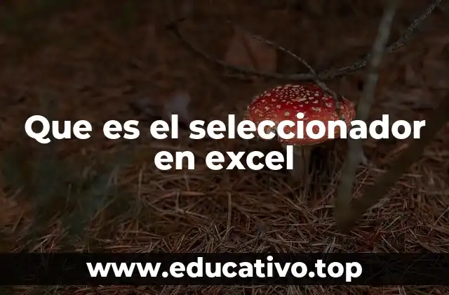 Que es el seleccionador en excel