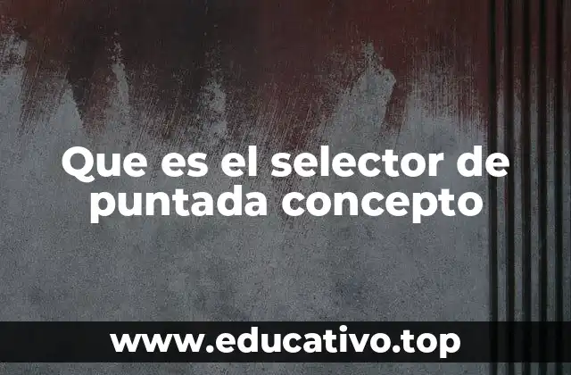Que es el selector de puntada concepto