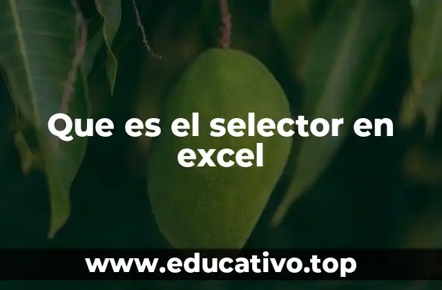 Que es el selector en excel