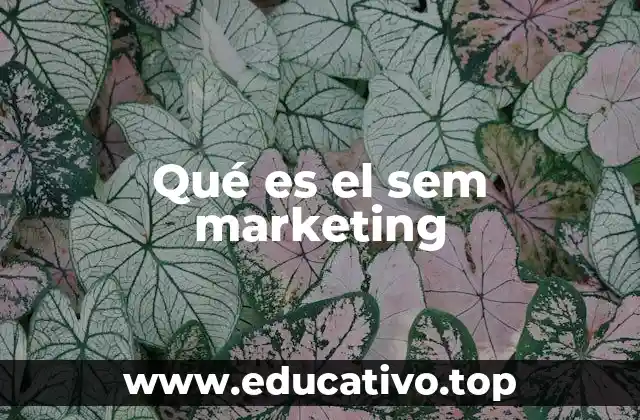 Qué es el sem marketing