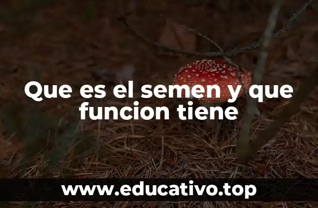 Que es el semen y que funcion tiene