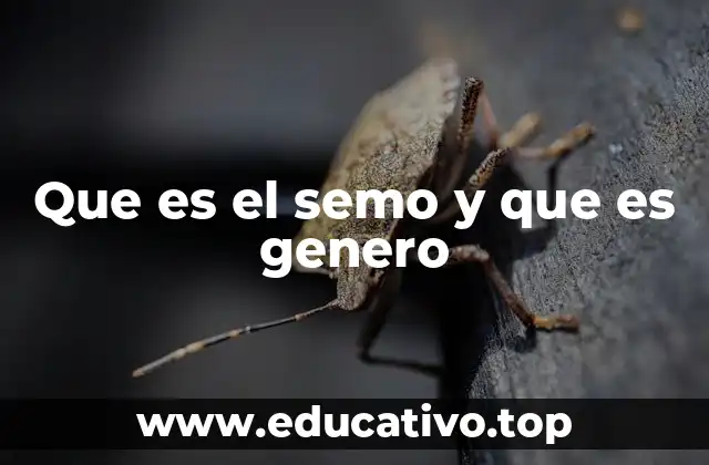 Que es el semo y que es genero