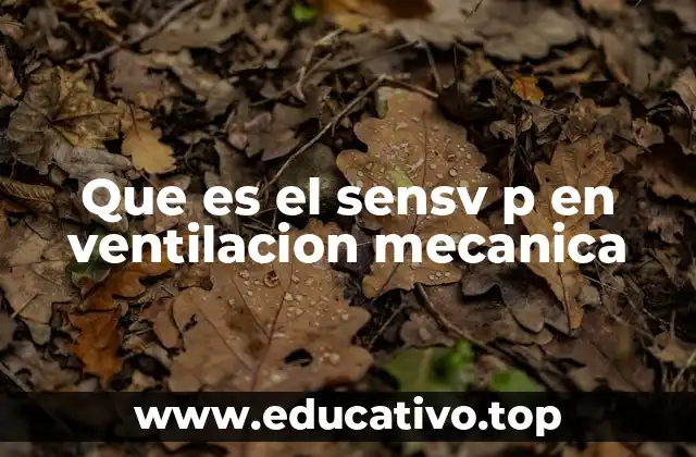 El papel del sensv p en la interacción paciente-ventilador