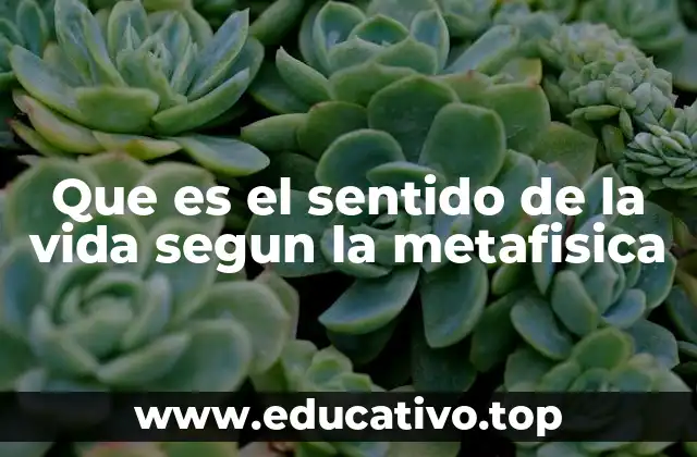 Que es el sentido de la vida segun la metafisica