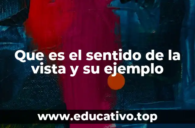 Que es el sentido de la vista y su ejemplo