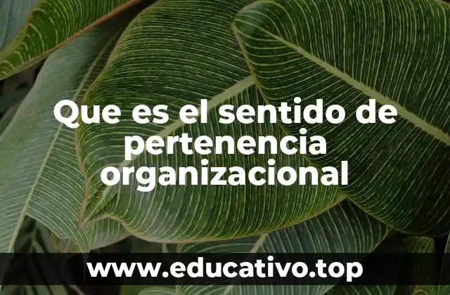 Que es el sentido de pertenencia organizacional