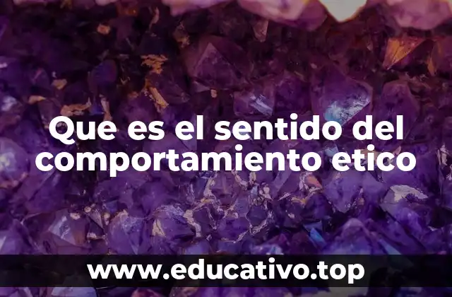 Que es el sentido del comportamiento etico