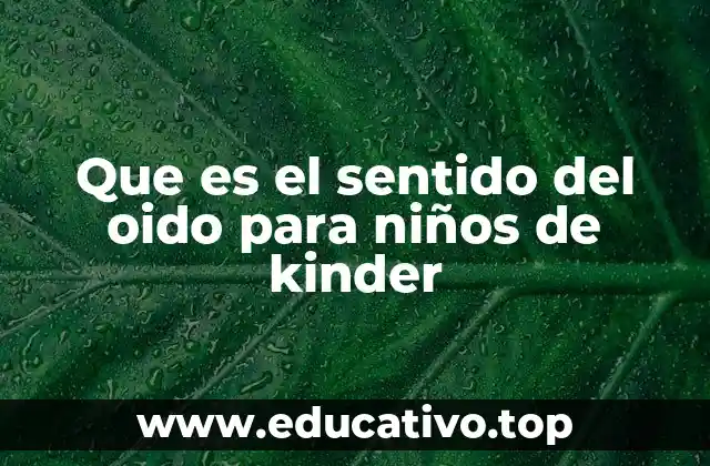 Que es el sentido del oido para niños de kinder