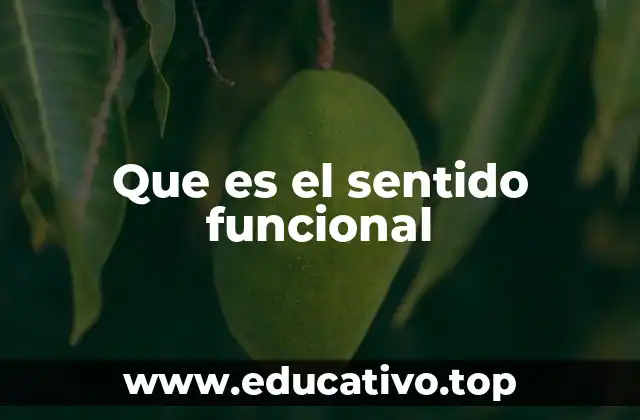 Que es el sentido funcional