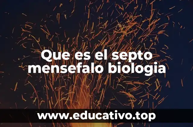 Que es el septo mensefalo biologia