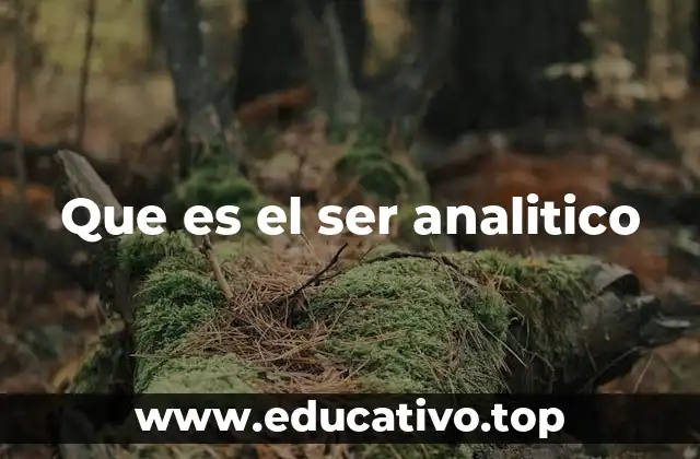 Que es el ser analitico