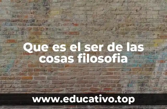 Que es el ser de las cosas filosofia