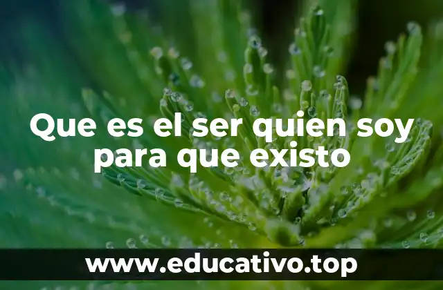 Que es el ser quien soy para que existo
