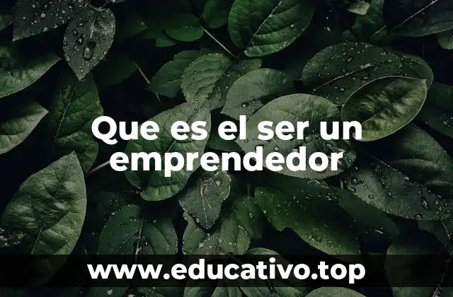 Que es el ser un emprendedor
