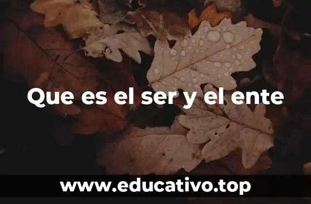 Que es el ser y el ente