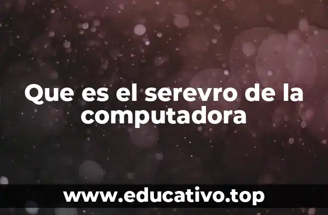 Que es el serevro de la computadora