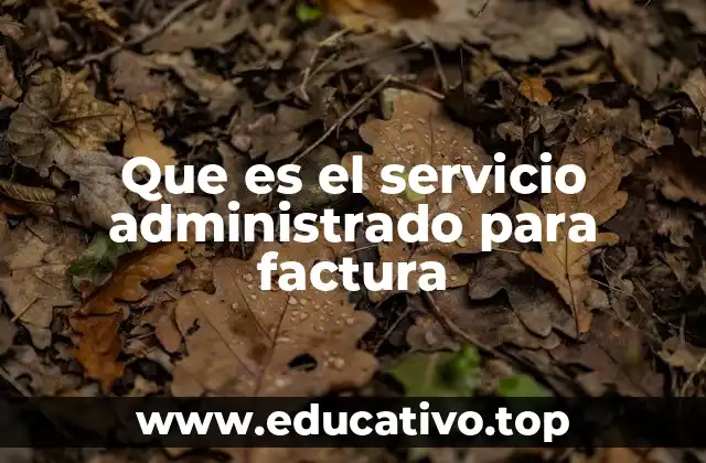 Que es el servicio administrado para factura