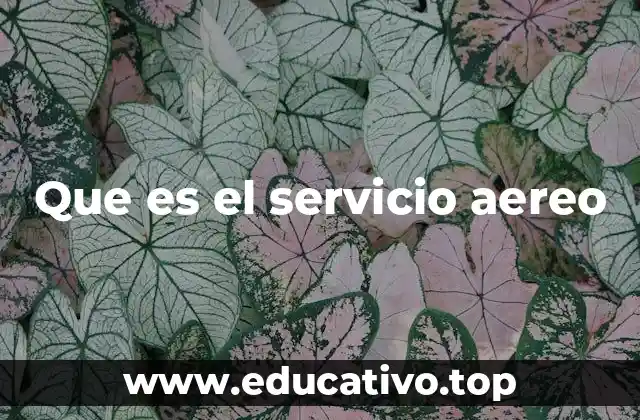 Que es el servicio aereo