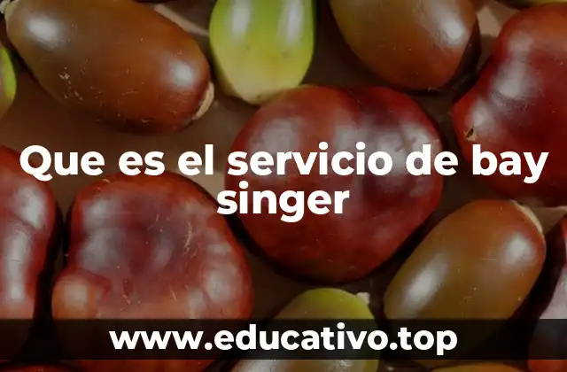 Que es el servicio de bay singer