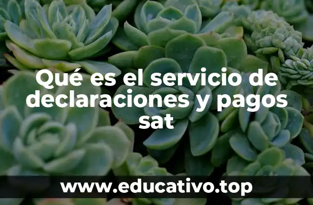 Qué es el servicio de declaraciones y pagos sat
