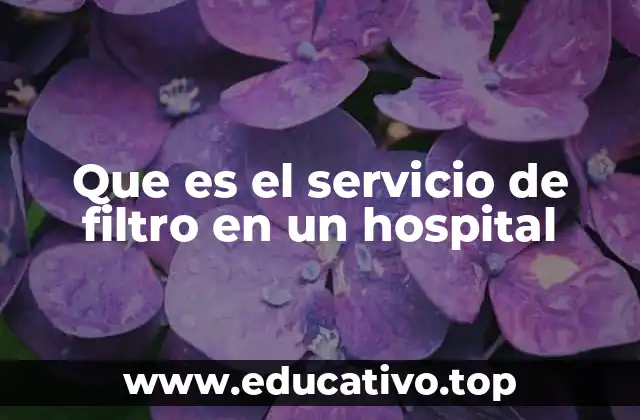 Que es el servicio de filtro en un hospital