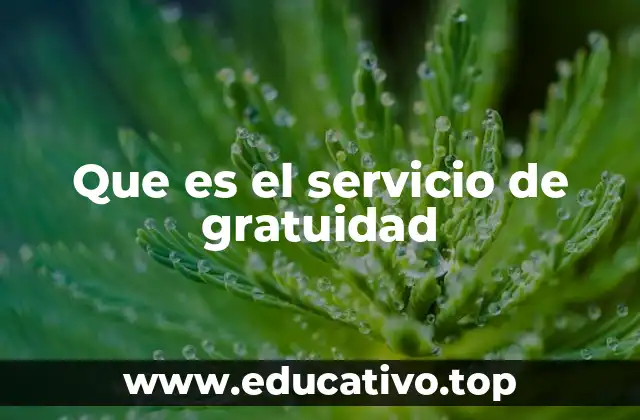 Que es el servicio de gratuidad