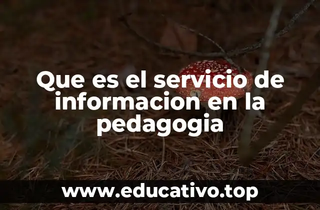 Que es el servicio de informacion en la pedagogia