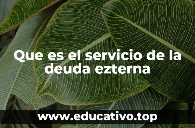 Que es el servicio de la deuda ezterna