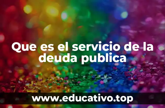 Que es el servicio de la deuda publica