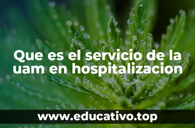 Que es el servicio de la uam en hospitalizacion