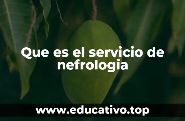 Que es el servicio de nefrologia