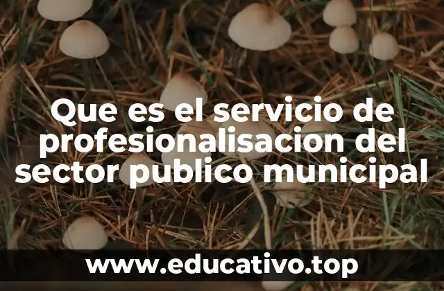 Que es el servicio de profesionalisacion del sector publico municipal