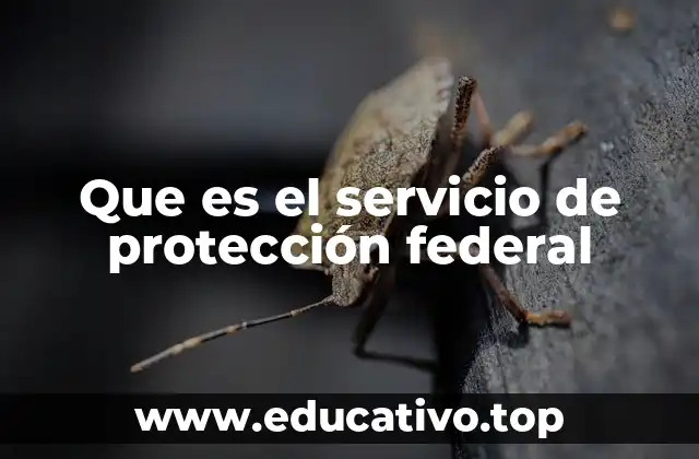 Que es el servicio de protección federal