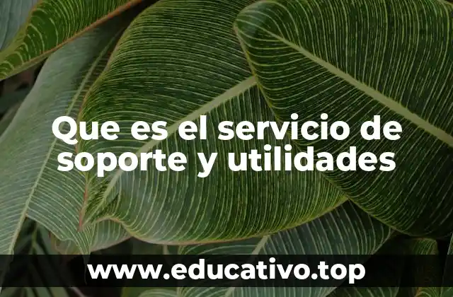 Que es el servicio de soporte y utilidades