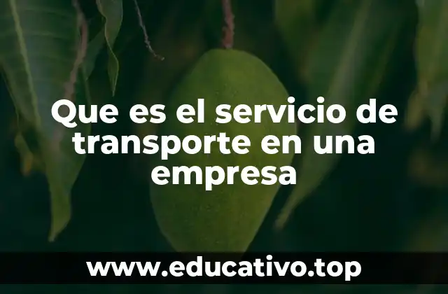 Que es el servicio de transporte en una empresa