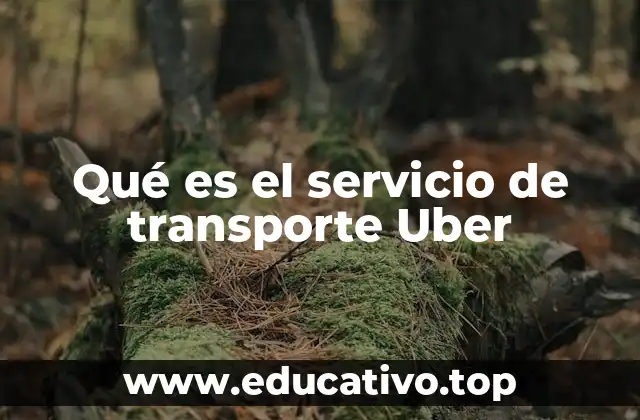 Qué es el servicio de transporte Uber