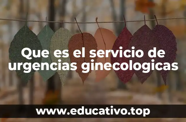 Que es el servicio de urgencias ginecologicas