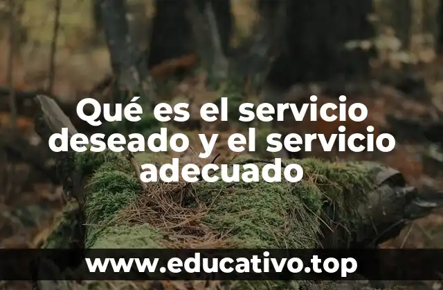 Qué es el servicio deseado y el servicio adecuado