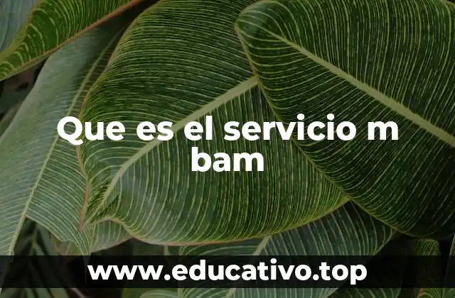 Que es el servicio m bam