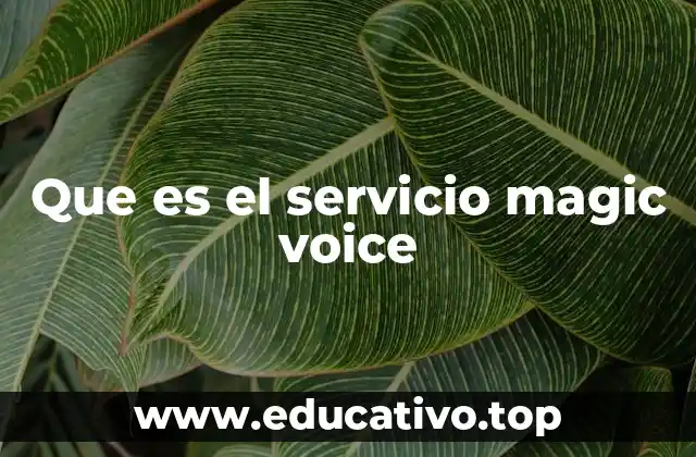 Que es el servicio magic voice